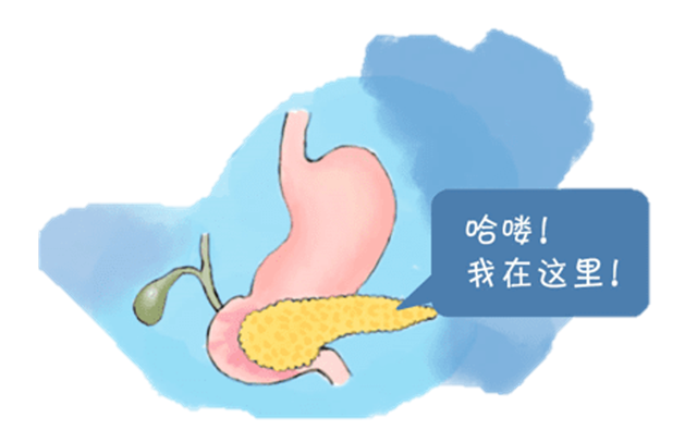 “憨吃傻脹”就要遭？胰腺炎和喝酒吃肉究竟有沒有關(guān)系？