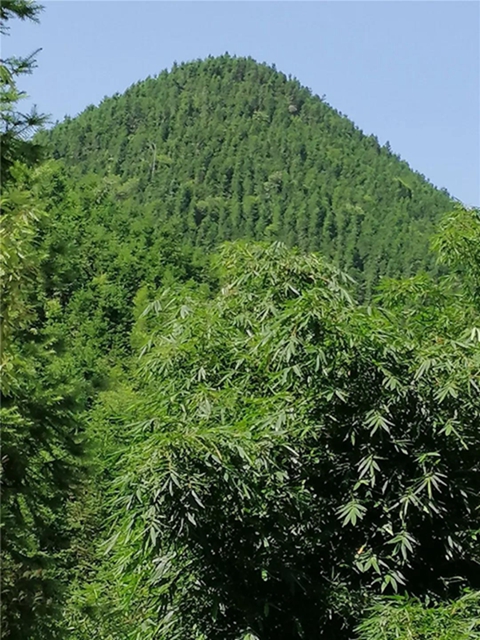 隆昌深山藏了一個(gè)“長(zhǎng)壽之鄉(xiāng)”，帶你領(lǐng)略那些秘密與傳說(shuō)！(圖1)