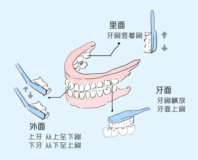 【注意】每天這樣刷牙，竟是在毀掉我們的牙齒？(圖4)