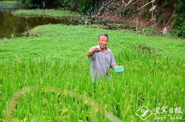 正式印發(fā)！《宜賓三江新區(qū)發(fā)展總體規(guī)劃》出爐，新區(qū)將迎來(lái)更大發(fā)展！(圖10)