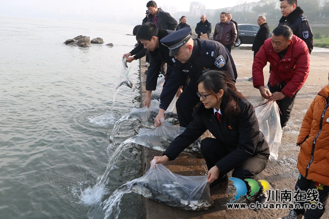 納溪法院：增殖放流，共同促進(jìn)長(zhǎng)江流域生態(tài)資源恢復(fù)(圖1)