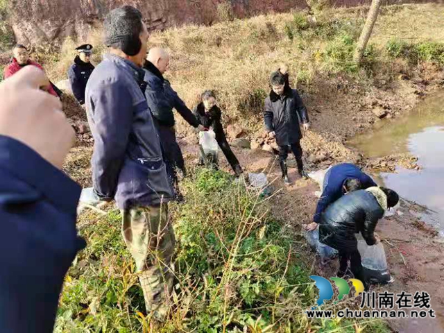 納溪法院：增殖放流，共同促進(jìn)長(zhǎng)江流域生態(tài)資源恢復(fù)(圖5)