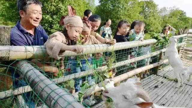 住房車(chē)，賞百草！新晉內(nèi)江網(wǎng)紅地“藥王谷”來(lái)了！(圖4)