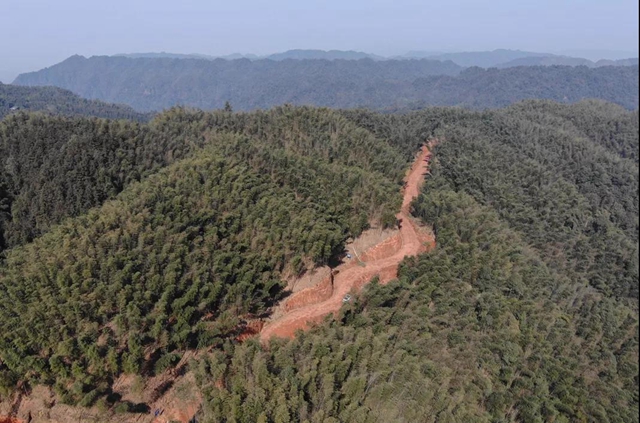 合江福寶護林員王熙：八百萬步平凡之路，守護一方青山樂土(圖4)