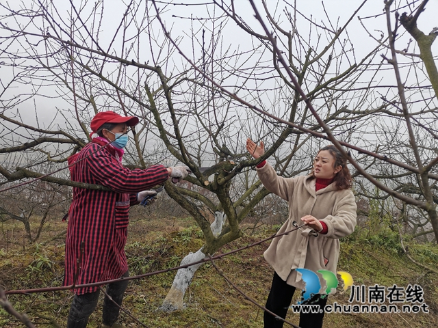 省勞動(dòng)模范薛世蘭：多產(chǎn)融合、稻菜輪作實(shí)現(xiàn)糧增產(chǎn)錢(qián)增收(圖3)