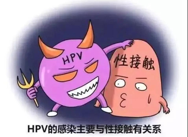 【擴(kuò)散】感染了HPV病毒，就是得了宮頸癌？(圖4)