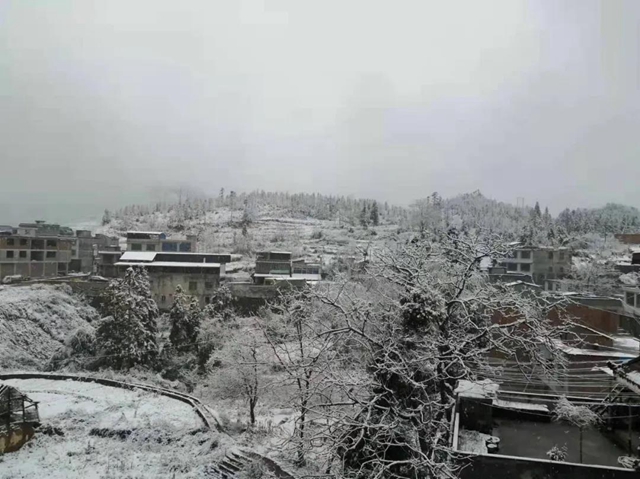 【圍觀】瀘州下雪了，你扛得住嗎？(圖3)